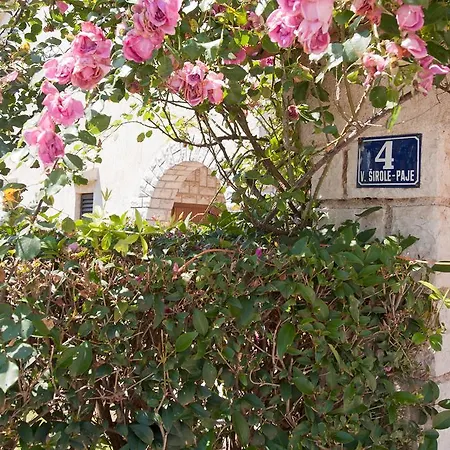 Apartment Alluro