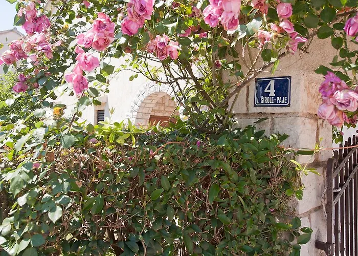Appartement Alluro